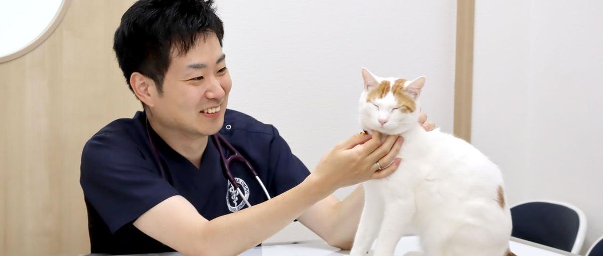 今よりももっとやさしく、強くなれる場所を探している獣医師を募集！