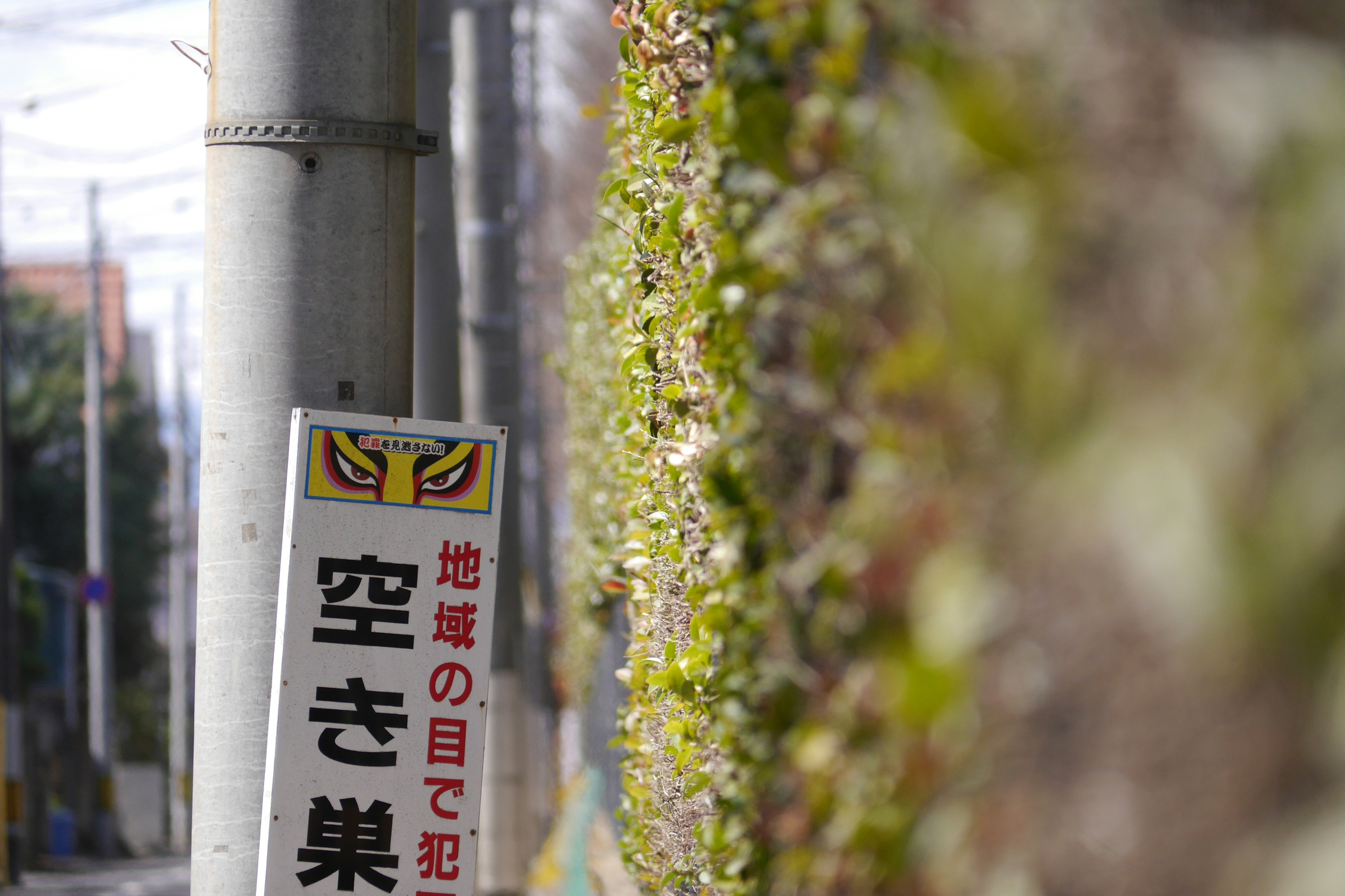 だいくですよ！【大工の楽しみ】