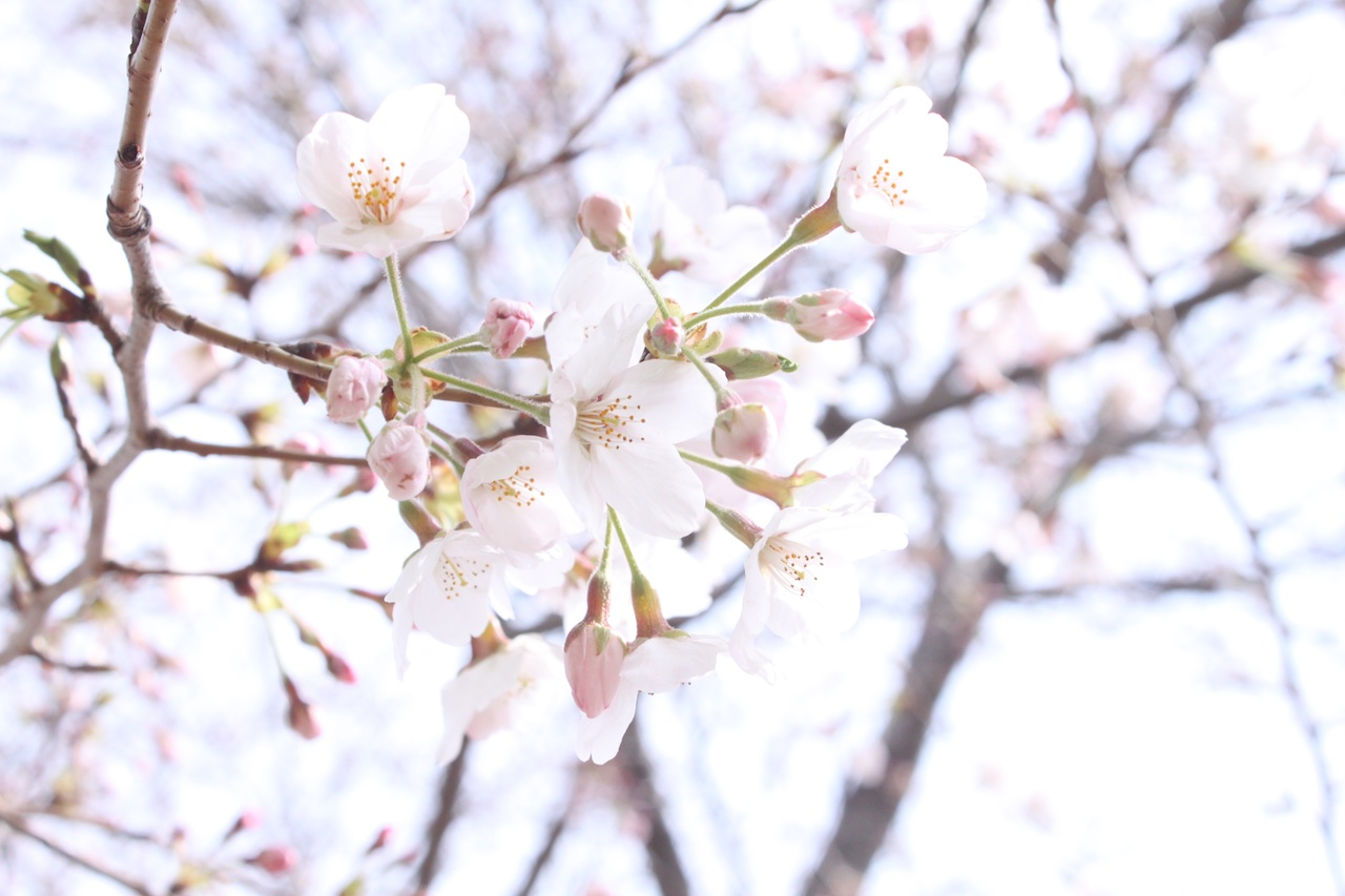 今の気持ち、そのまま。