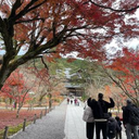 髙橋 遥斗