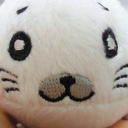 Yuki Kitazawa