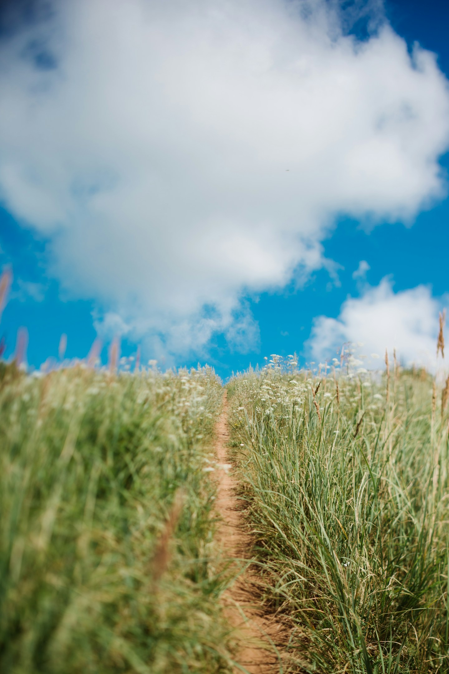 貧乏だった時の話をしようか-食べ放題とか替え玉無料とかが好きになる
