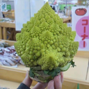 Tomohiro Noguchi