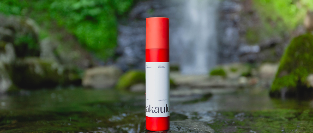 地方から再スタート！秋田の豊かな自然とITスキルを手に入れたい方必見！