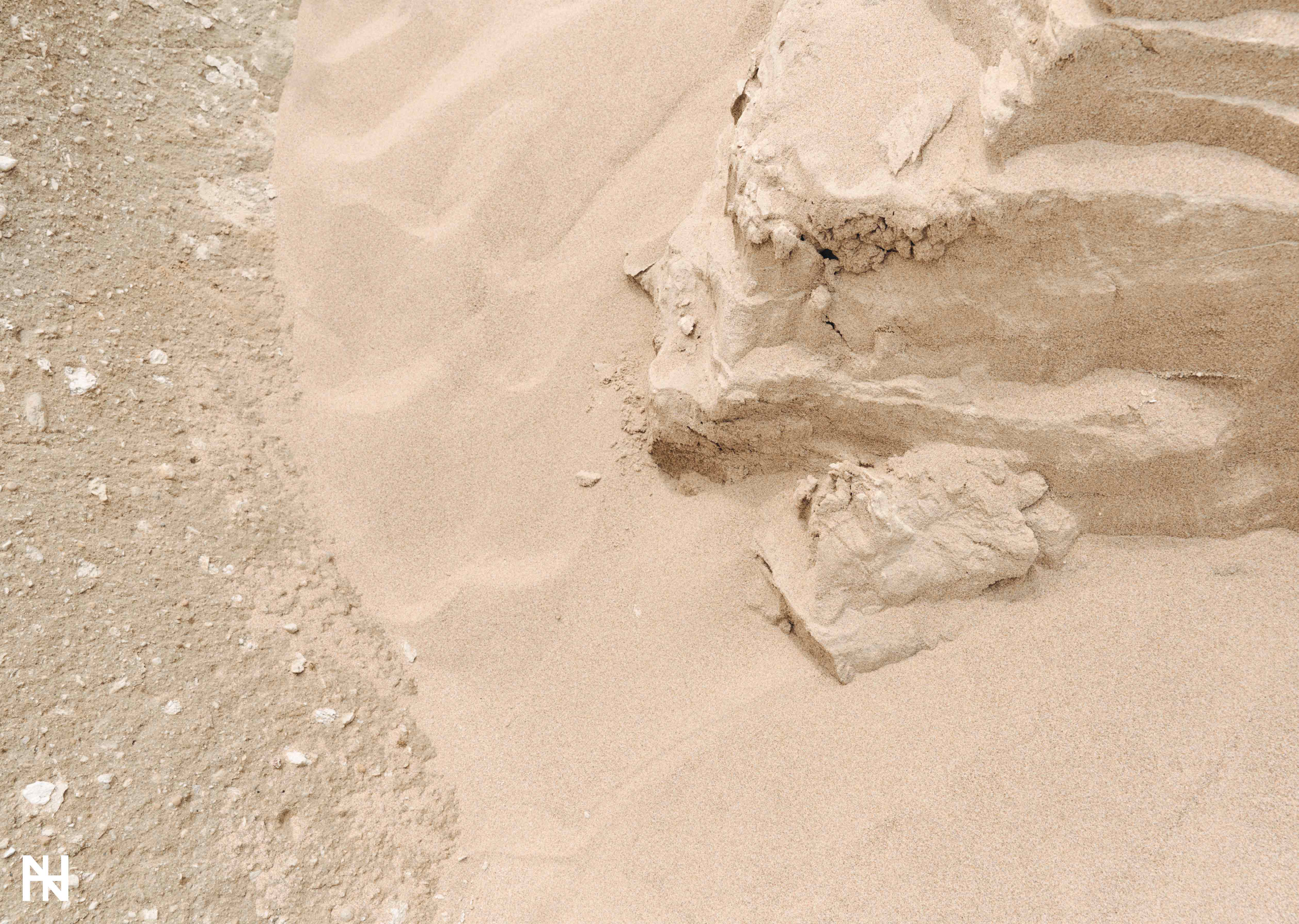 わたしのとなりに、そっといる。