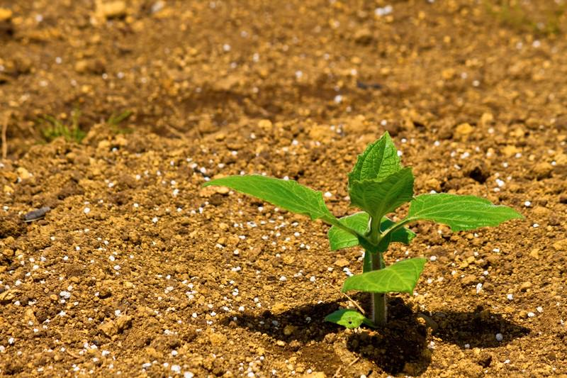 【新入社員インタビュー】未経験エンジニアの転職の実態…！！【30代の転職その2】