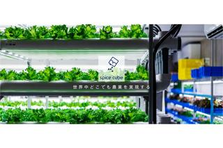 都市型農業スタートアップ｜一緒に事業拡大を目指す新メンバー募集しています！