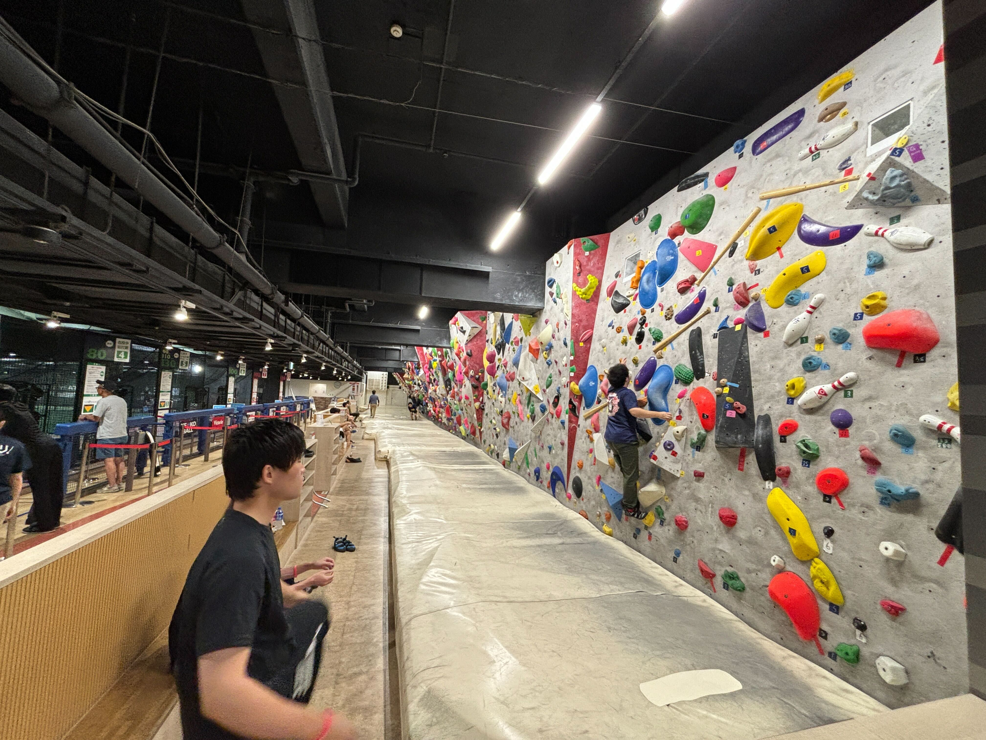 【ぼる部】8月の活動。東京ドームで壁を登る