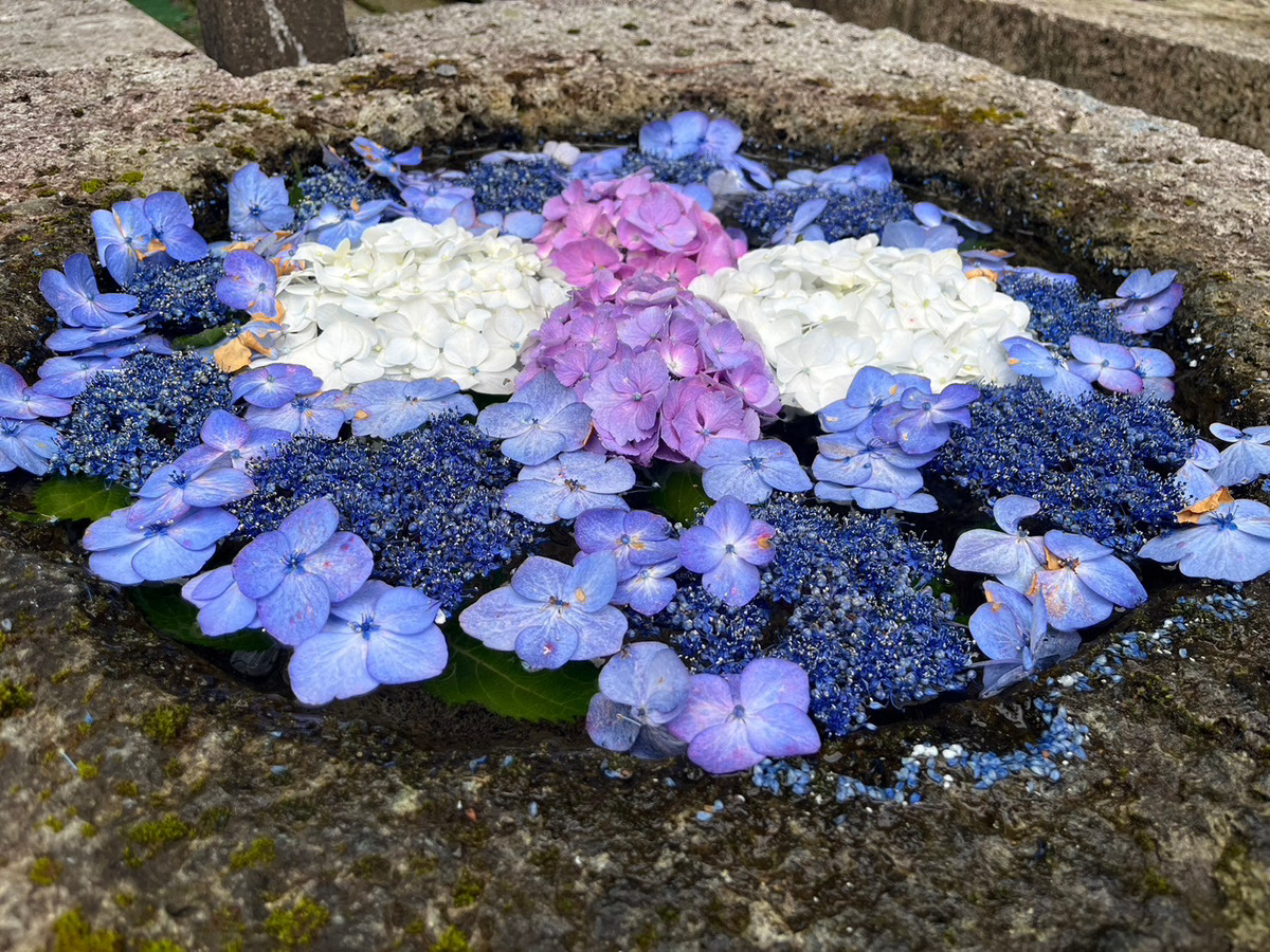 人に寄り添う仕事