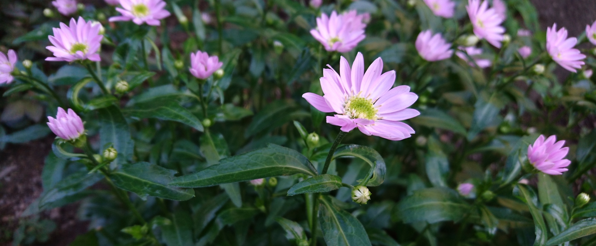 IoTのBeaconについてもう一度調べてみる