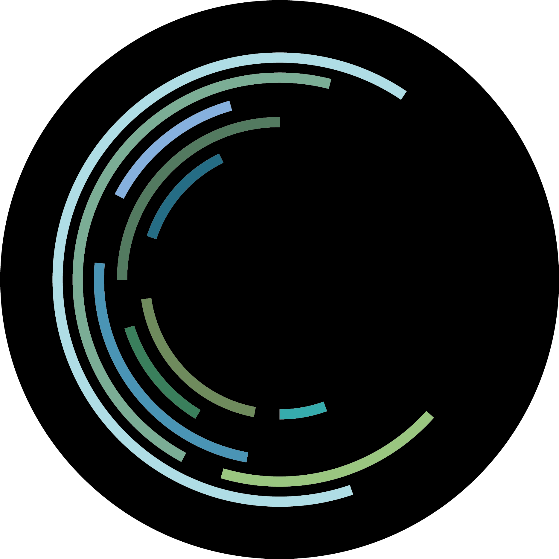 Whole Earth Foundation