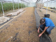 採種現場の確認