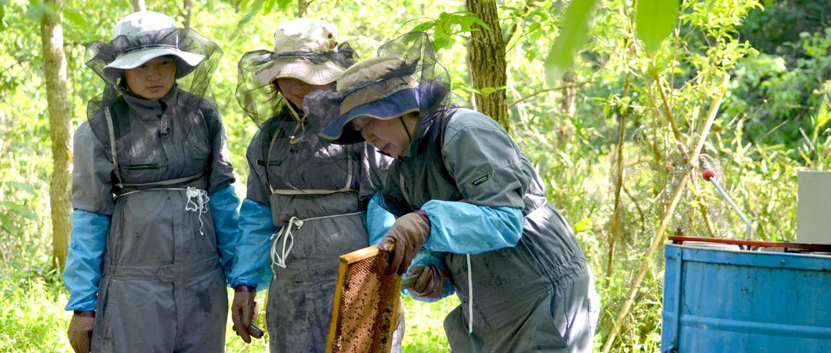 地方創生　東京から全国の地方をサポートするカスタマーサクセス！！
