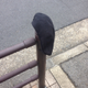 櫻井 勇輔
