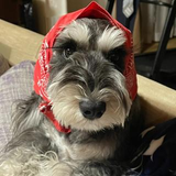 ⑧ 竹之内