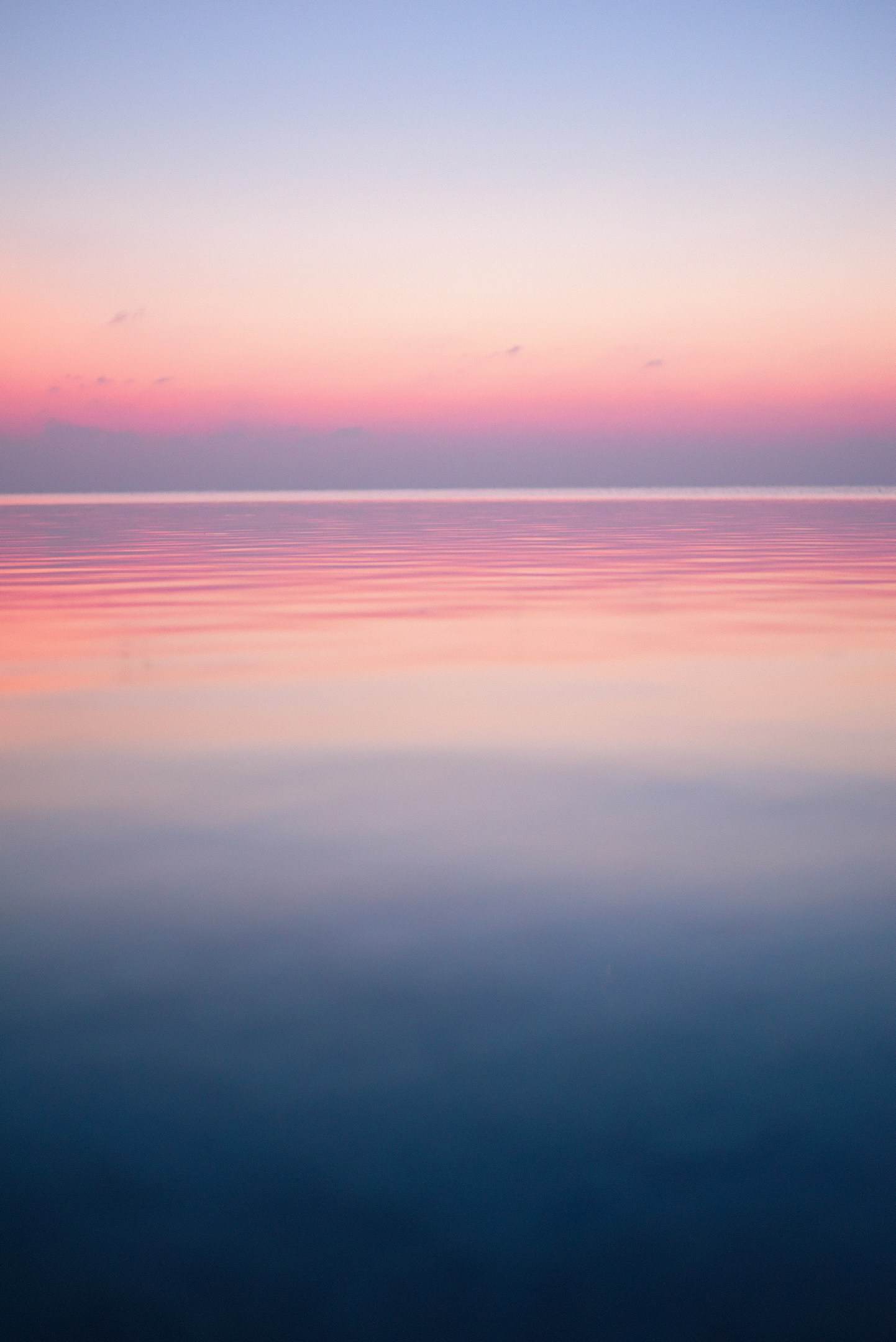 大藏(大蔵)陽平:旅と技術選定の共通点｜未知の場所で得た気づきとは?