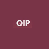 Q Investment  Partners