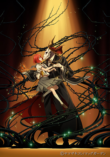 魔法使いの嫁 by 株式会社サブリメイション