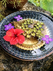 契約医療機関の一つ。沖縄県立南部医療センター・こども医療センター