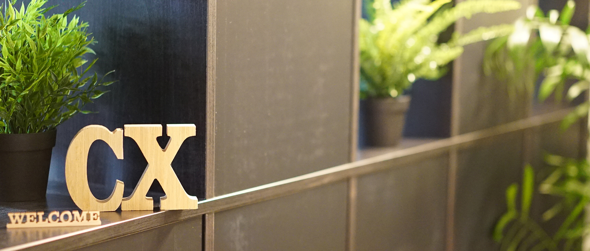 20代30代のキャリアチェンジ/成長企業の採用支援、両面型コンサルタント！