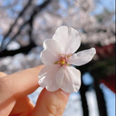 小林 実桜