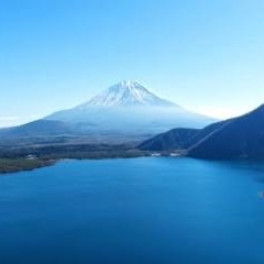磯野屋株式会社