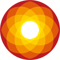 株式会社LAVA Internationalの会社情報