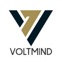 株式会社VOLTMINDの会社情報