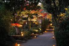 IT×旅館！最先端の旅館を支えるオペレーター・事務スタッフを募集