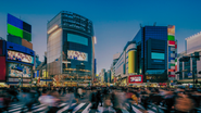 東京・渋谷を拠点に様々な事業を展開中