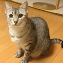 樋原 猛己