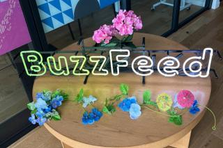 BuzzFeed: 編集記者を募集！芸能人・経営者の取材