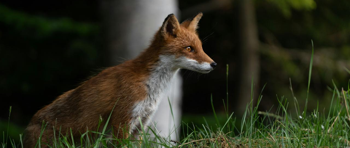 おもてなしの精神を次世代に受け継ぐ。