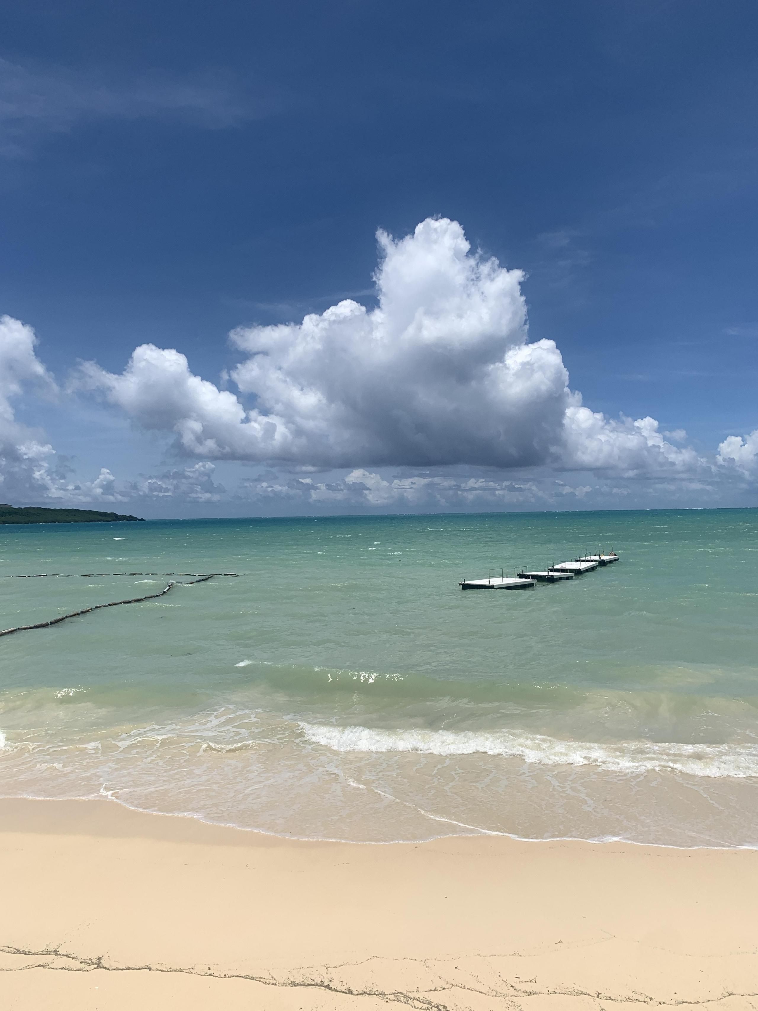 「家庭応援特別休暇」で有給がさらに1日増えた件