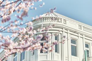 いよいよ、今秋に新本店が鎌倉にOPEN！オープニングスタッフを募集しています