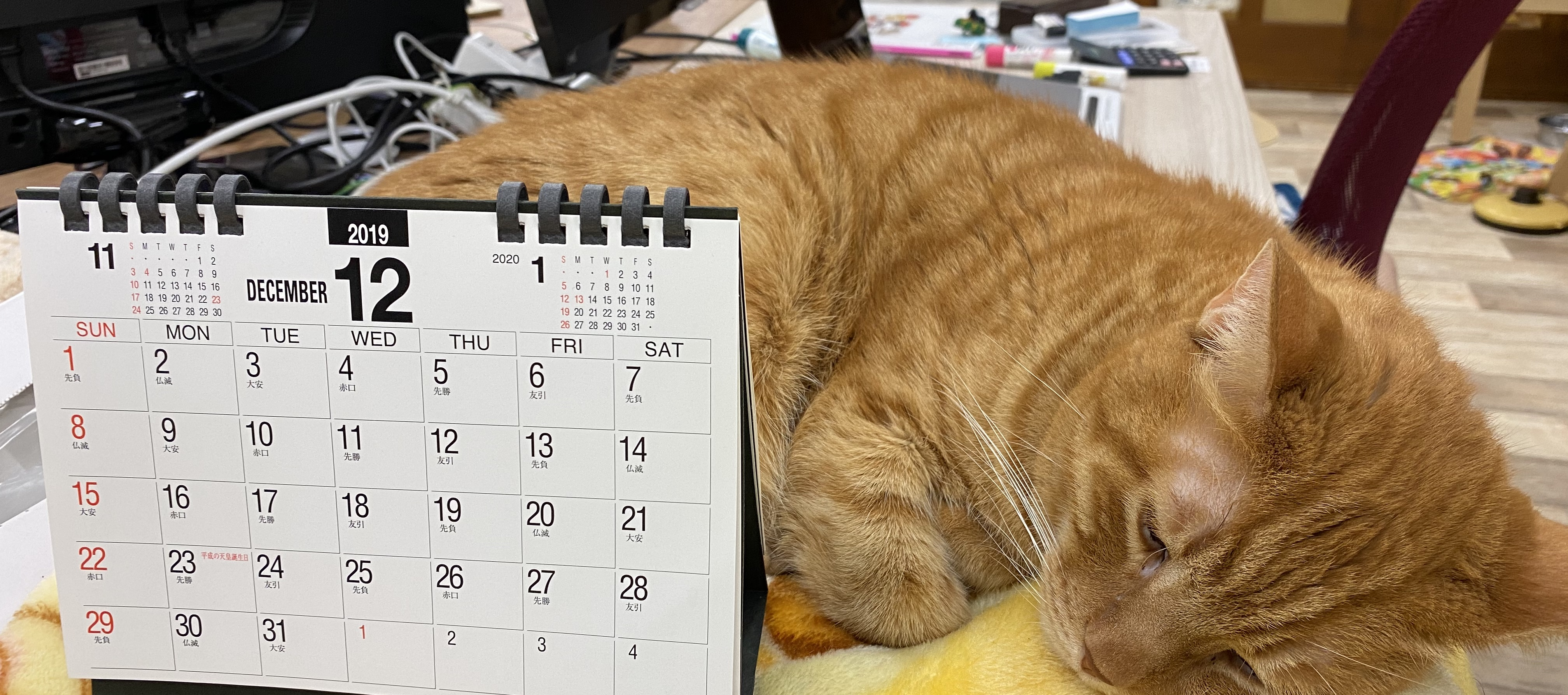 qnote アドベントカレンダー 2019