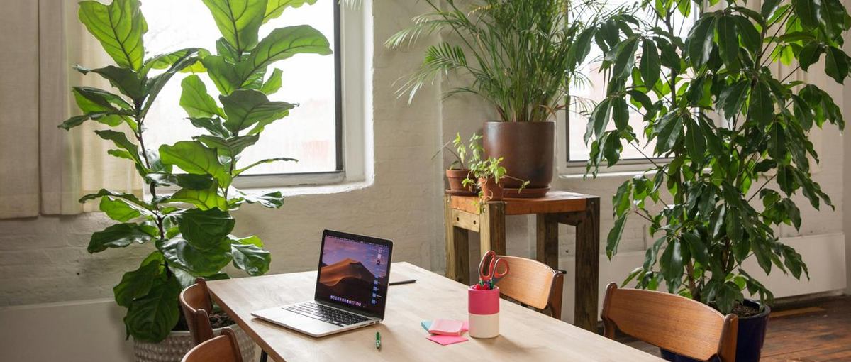 自由に働ける！ITスタートアップのセールス担当を大募集！！