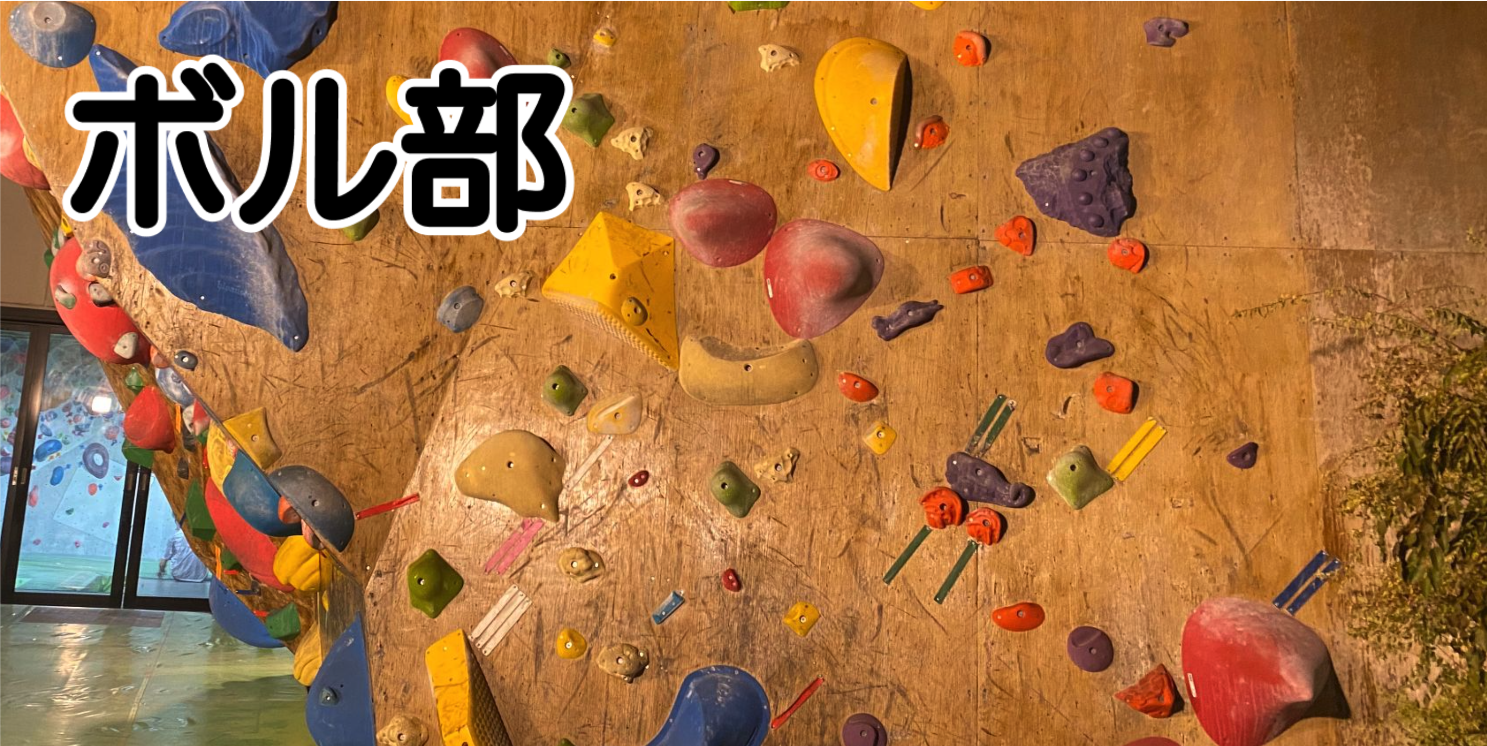 【ボル部】新規ジム開拓MTG