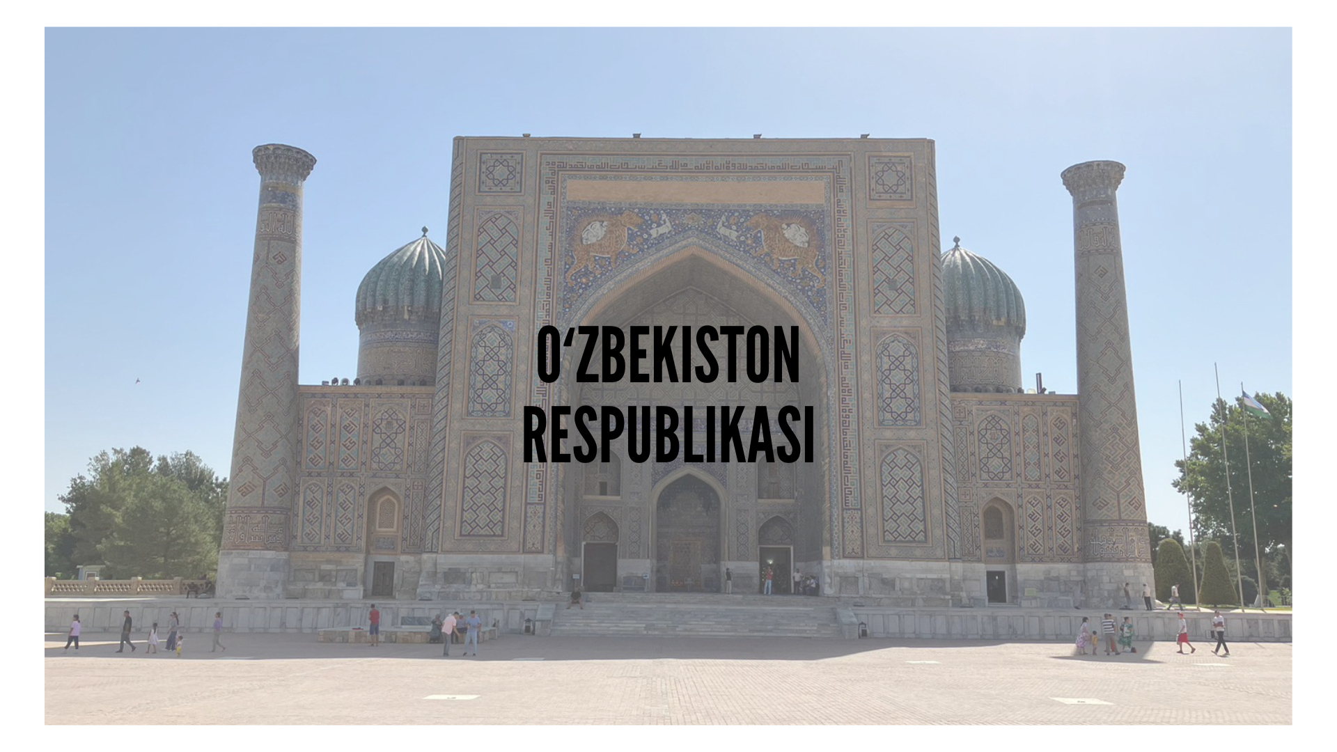 【現地調査】～ウズベキスタン編～