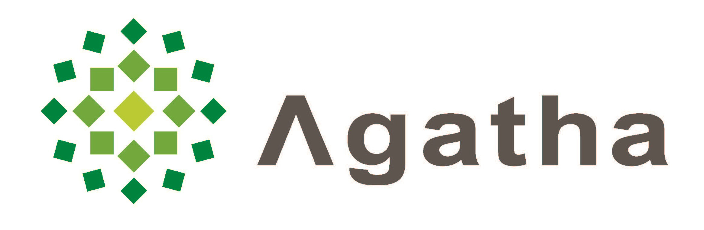 【会社紹介vol.1】社員20名全員フルリモートの組織で医療業界に変革を起こす。「Agatha（アガサ）」の創業ストーリー。