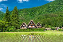  地方自治体や企業のSNS動画撮影、編集ができる方探しています！