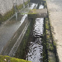 川野 純哉