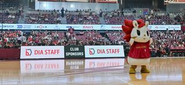 川崎ブレイブサンダース 2024-2025シーズン最終戦