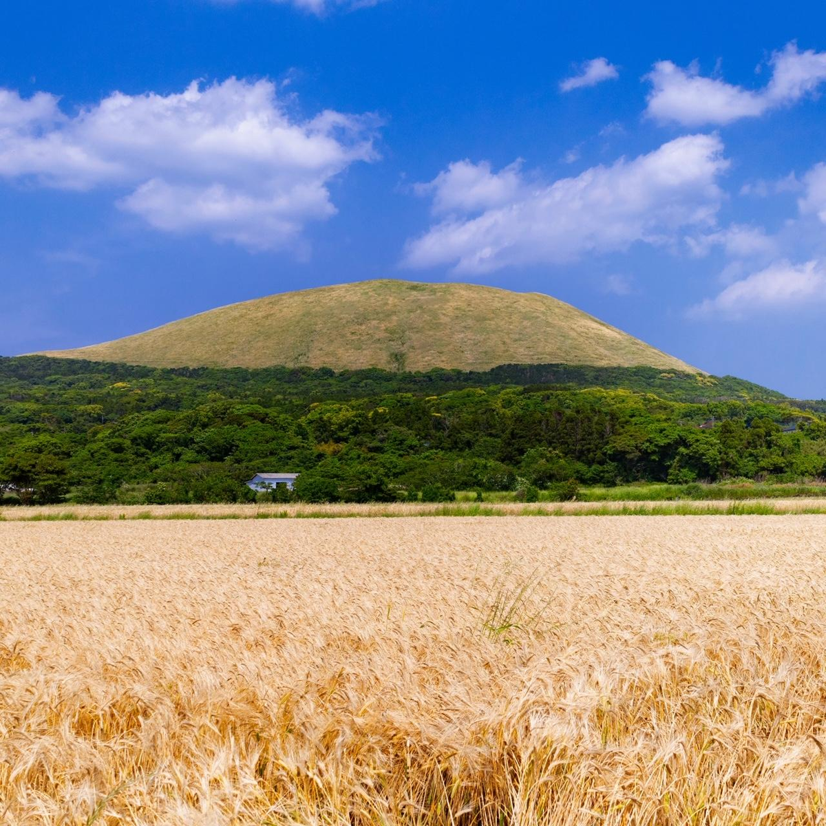 福江島の風景