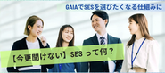 SESにも利点は沢山あります。沢山の案件実績を積むことで、将来的なキャリアに大きく関わってきます。望むキャリアプランには人によって違うので、一度ご相談ください！