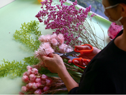 毎日たくさんの種類の花と向き合います