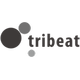 Business_トライビートのビジネス