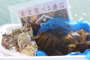 生産者を特集した情報誌と、彼らが収穫した食べものがセットで届く食べもの付き情報誌「食べる通信」