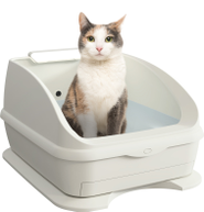 自社製品「TOLETTA」は、2018年8月8日(世界ねこの日)国内販売開始予定です。その後、海外でも展開してゆきます。