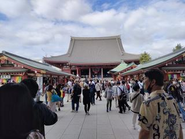 サークル活動の一環の散歩会の様子